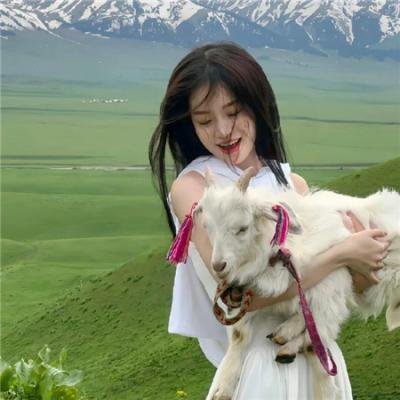 爱在别乡的季节